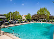Thumbnail 34 of 36 - A large swimming pool surrounded by chairs and trees.