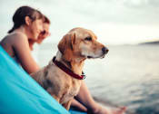 Thumbnail 44 of 54 - Dog In A Sea at The Crest at Acworth, Acworth, 30102