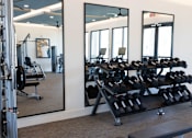 Thumbnail 48 of 60 - A gym with a mirror on the wall and a rack of dumbbells at The Crest at South Point Apartments, McDonough
