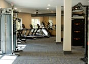 Thumbnail 31 of 66 - A gym with a variety of equipment including a squat rack, bench press, and a rowing machine.at Riverside Apartments, Chattanooga, Tennessee