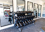 Thumbnail 19 of 27 - A gym with a mirror, weights, and exercise equipment.
