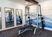 Thumbnail 20 of 27 - A gym with a mountain mural on the wall.