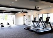 Thumbnail 24 of 27 - A gym with treadmills and exercise equipment.