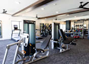 Thumbnail 22 of 27 - A gym with a variety of equipment including treadmills, weight machines, and a bench press.