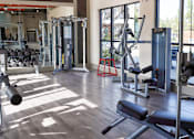 Thumbnail 14 of 27 - a gym with weights and cardio equipment in a building with glass doors at The Crest at Laurel Canyon Apartments, Canton, Georgia