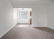Thumbnail 11 of 14 - a living room with white walls and carpet and a window