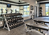 Thumbnail 21 of 37 - A gym with a row of dumbbells and a bench with a weight stack.