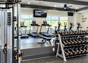 Thumbnail 19 of 37 - A gym with a variety of equipment including treadmills, weights, and a squat rack.