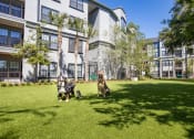Thumbnail 10 of 38 - Dog Park with 2 dogs sitting on the astro turf at The Bartram Apartments in Gainesville, FL 32608