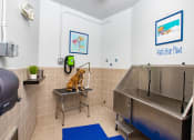 Thumbnail 15 of 38 - Dog Wash room with dog sitting underneath hair dryer. Large dog wash tub located inside at The Bartram Apartments in Gainesville, FL 32608