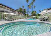 Thumbnail 15 of 15 - A pool surrounded by palm trees and sun loungers.