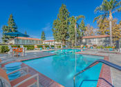 Thumbnail 7 of 30 - A swimming pool surrounded by orange chairs and trees.