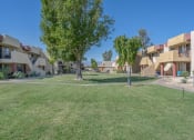Thumbnail 15 of 20 - A grassy area in front of apartment buildings.