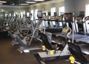 Thumbnail 3 of 6 - a gym full of cardio machines and other exercise equipment  at Rosewood Village, Hagerstown, MD, 21742