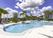 Thumbnail 24 of 29 - a large swimming pool with palm trees and buildings in the background