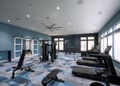 Thumbnail 22 of 29 - a gym with weights and cardio equipment in a large room with windows