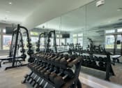 Thumbnail 30 of 54 - two rows of weights machines in a fitness room with mirrors