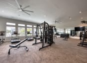 Thumbnail 68 of 92 - a gym with weights and other exercise equipment in a large room with windows