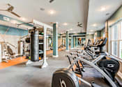 Thumbnail 15 of 31 - a gym with weights and a punching bag on the floor