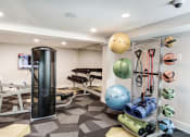 Thumbnail 19 of 28 - a home gym with a punching bag and weights at Hamilton at Kings Place, Columbia Maryland