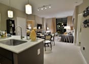 Thumbnail 43 of 84 - Large, Open Floor Plans at Mira Upper Rock, Maryland