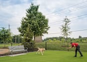 Thumbnail 39 of 84 - Dog Park at Mira Upper Rock, Rockville, Maryland