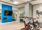 Thumbnail 23 of 49 - Pelton Bikes at Allure Apollo, Camp Springs Maryland