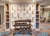 Thumbnail 22 of 49 - Free Weights at Allure Apollo, Camp Springs, 20746