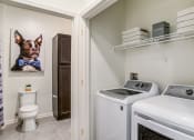 Thumbnail 10 of 49 - Bathroom at Allure Apollo, Camp Springs, MD