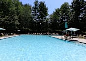 Thumbnail 38 of 48 - A large swimming pool surrounded by trees and lounge chairs at Ellicott Grove, Ellicott City, MD 21043