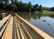 Thumbnail 65 of 65 - A wooden dock extends into a calm body of water with trees in the background.