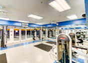Thumbnail 25 of 34 - a gym with weights and cardio equipment and glass doors at MetroPlace at Town Center, Maryland, 20746