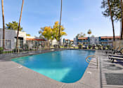 Thumbnail 24 of 33 - A large swimming pool surrounded by palm trees and benches at Riviera Park, Chandler Arizona