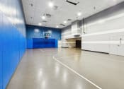 Thumbnail 25 of 54 - a basketball court in a gym with a blue wall and white doors at Villages at Morgan Metro, Landover, MD