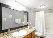 Thumbnail 29 of 81 - A bathroom with a sink, mirror, toilet, and shower.