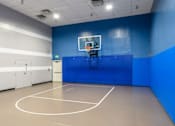 Thumbnail 47 of 81 - A basketball court with a hoop and a blue wall.