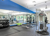 Thumbnail 42 of 81 - A gym with a variety of equipment including weights, a bench, and a rope.