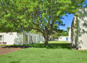 Thumbnail 4 of 48 - a yard with a tree in front of a white building