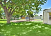 Thumbnail 24 of 48 - a backyard with a tree and a play area