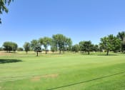 Thumbnail 2 of 48 - Fairway landscaping