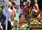 Thumbnail 6 of 6 - people buying fruits and vegetables at an outdoor market
