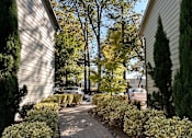 Thumbnail 2 of 47 - A sidewalk with a row of bushes on either side.