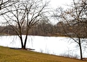 Thumbnail 6 of 6 - Lazy Lake