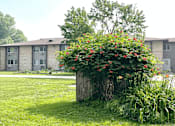 Thumbnail 2 of 20 - a large bush with red flowers in front of an apartment complex