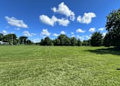 Thumbnail 4 of 4 - A large, open grassy field with trees in the distance and a blue sky above.