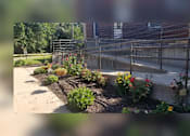 Thumbnail 3 of 4 - A garden with a variety of plants and flowers in the foreground and a metal fence in the background.