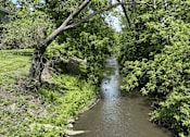 Thumbnail 14 of 15 - A small river flows through a lush green forest.