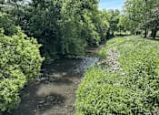 Thumbnail 12 of 15 - A river flows through a lush green forest.