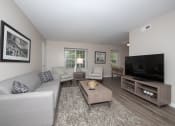 Thumbnail 2 of 15 - Living Room in Country Club Apartments in Williamsburg VA 