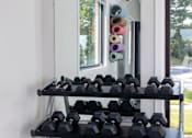 Thumbnail 23 of 28 - Rack of dumbbells in front of a mirror in a gym at Cromwell Valley Apartments, Towson
